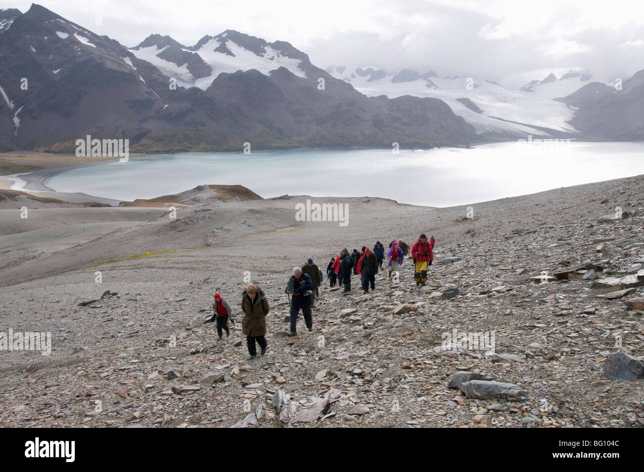 I turisti a piedi dalla Fortuna Bay, Georgia del Sud Atlantico Foto Stock