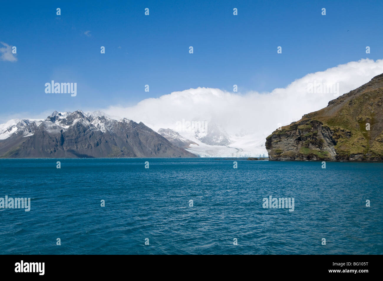 Costa vicino a Grytviken, Georgia del Sud Atlantico Foto Stock