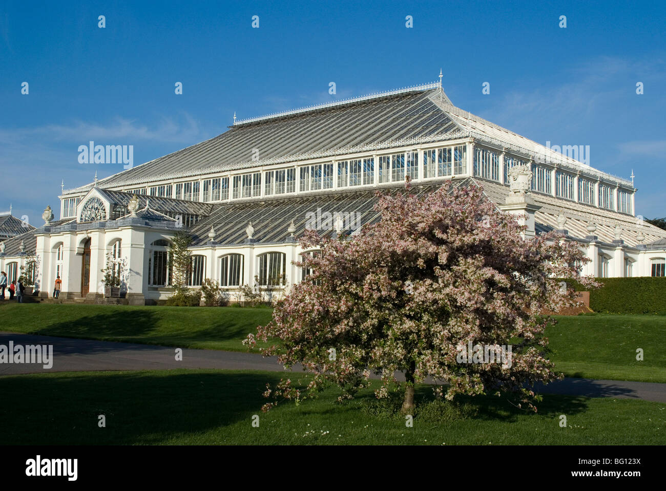 Casa temperate, Royal Botanic Gardens (Kew Gardens), il Sito Patrimonio Mondiale dell'UNESCO, Kew, Greater London, England, Regno Unito Foto Stock