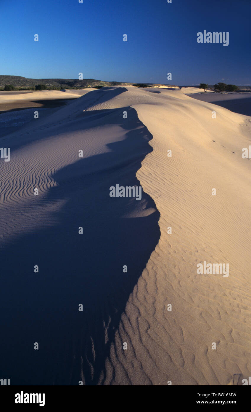 Dune di sabbia e spiaggia a Sarodrano, vicino a Tulear o Toliara, Madagascar sud-occidentale Foto Stock