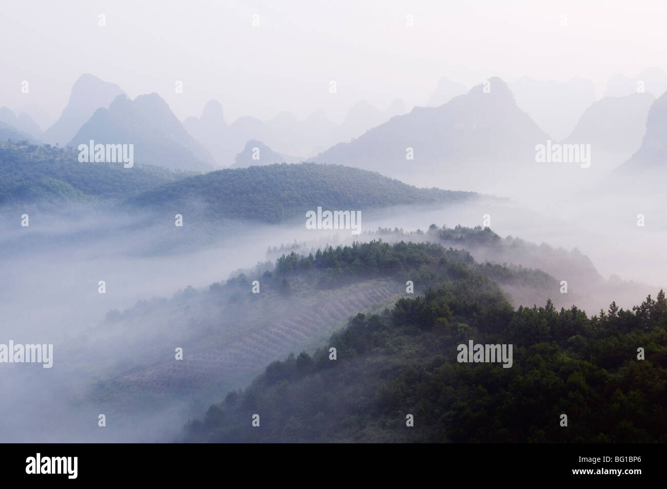 Early Morning mist aggrappandosi ad ambiente carsico paesaggio intorno a Yangshuo, vicino a Guilin, provincia di Guangxi, Cina e Asia Foto Stock