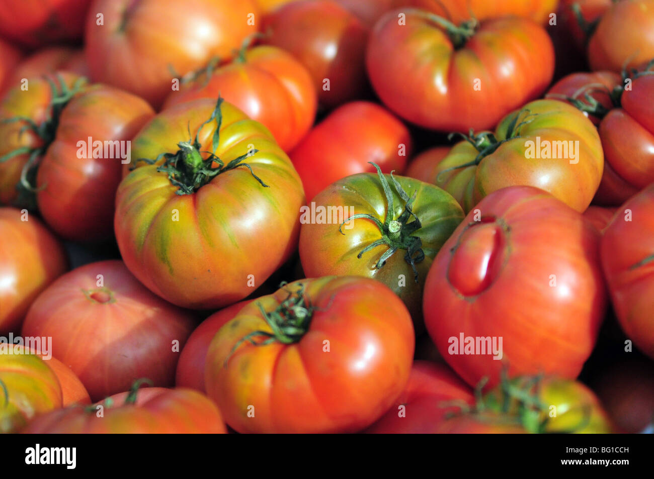 I pomodori in attesa di essere acquistato presso il locale mercato spagnolo stand. Foto Stock