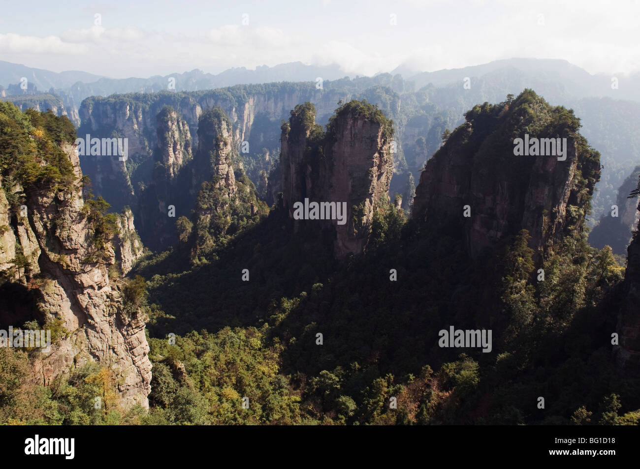 Ambiente carsico formazioni rocciose a Zhangjiajie Forest Park, Wulingyuan Scenic Area, nella provincia del Hunan, Cina e Asia Foto Stock