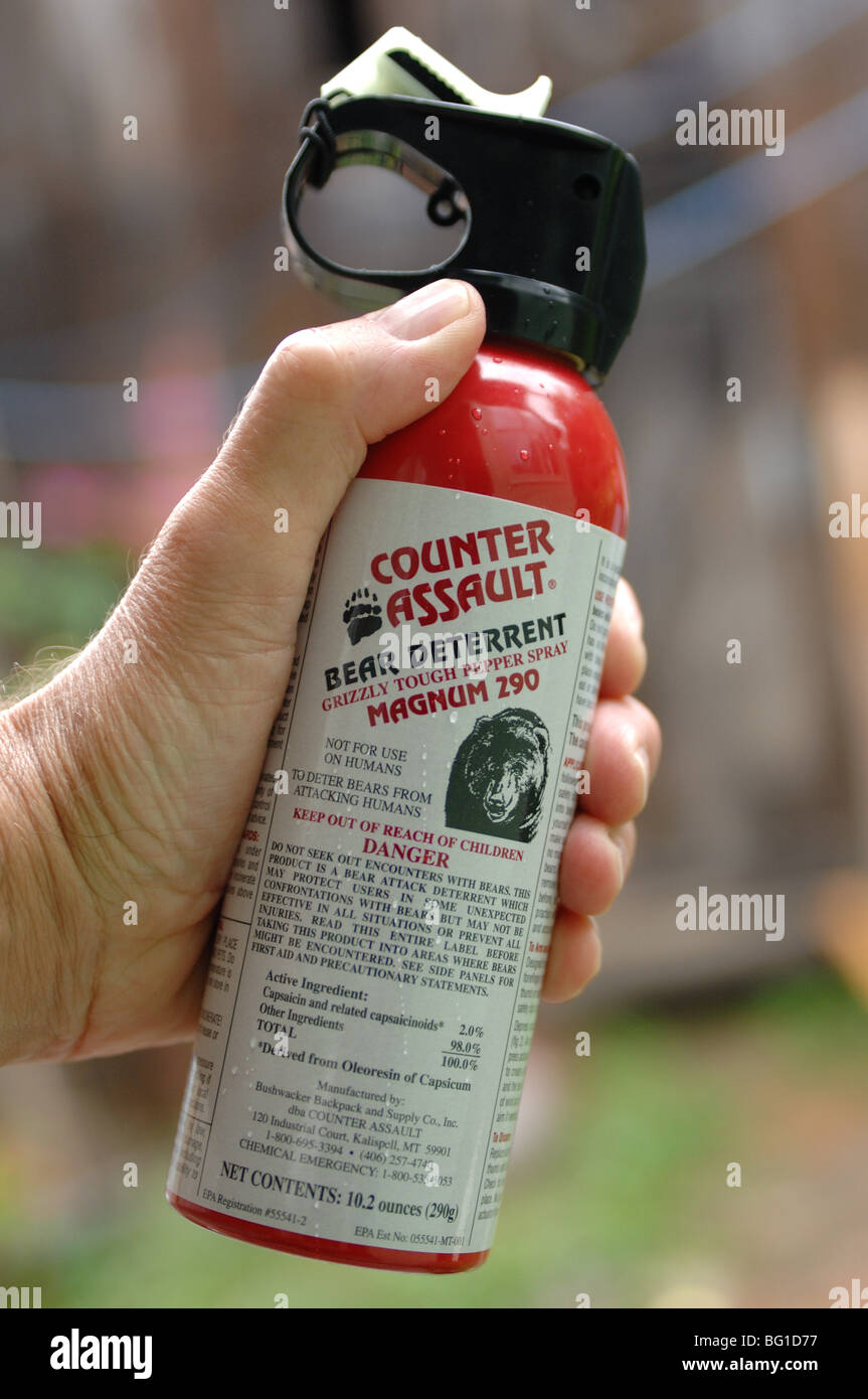 Bomboletta spray spray per orso immagini e fotografie stock ad alta  risoluzione - Alamy