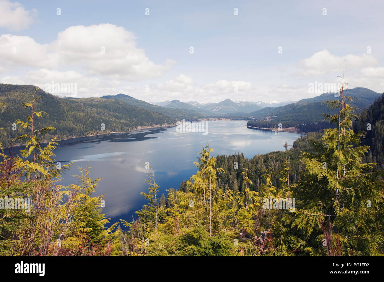 Lago Nitinat, Carmanah Walbran Parco Provinciale, Isola di Vancouver, British Columbia, Canada, America del Nord Foto Stock