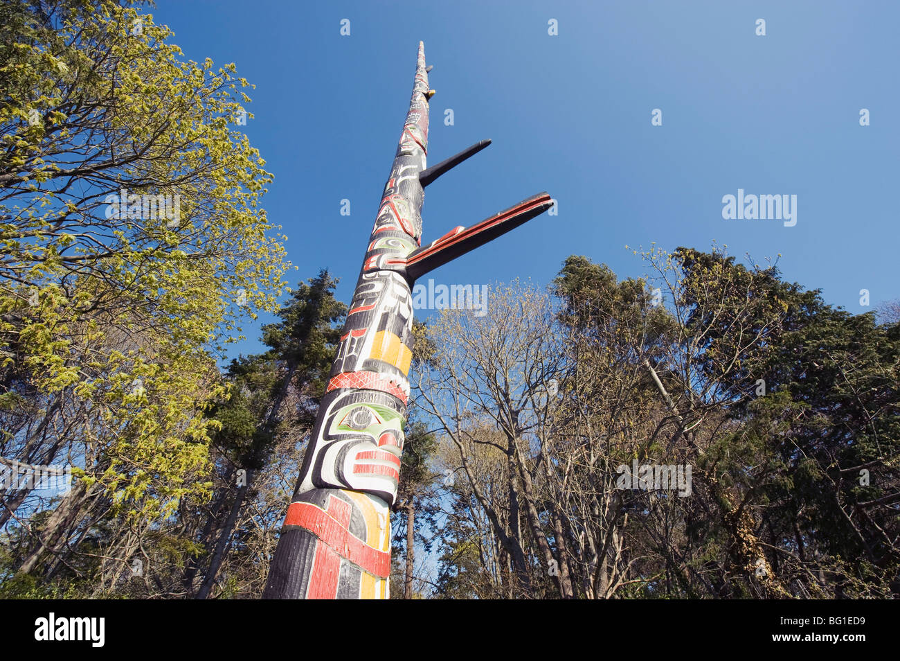 Uno dei più alti totem poles in Canada, Beacon Hill Park, Victoria, Isola di Vancouver, British Columbia, Canada, America del Nord Foto Stock