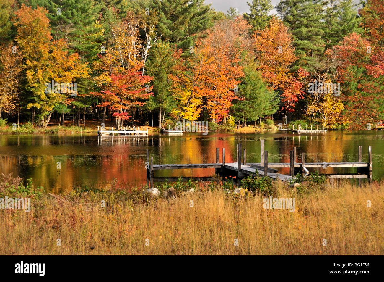 Brillante Nuova Inghilterra fogliame di autunno si riflette nelle calme acque di un piccolo lago nella parte inferiore dello stato di New York, Stati Uniti d'America. Foto Stock