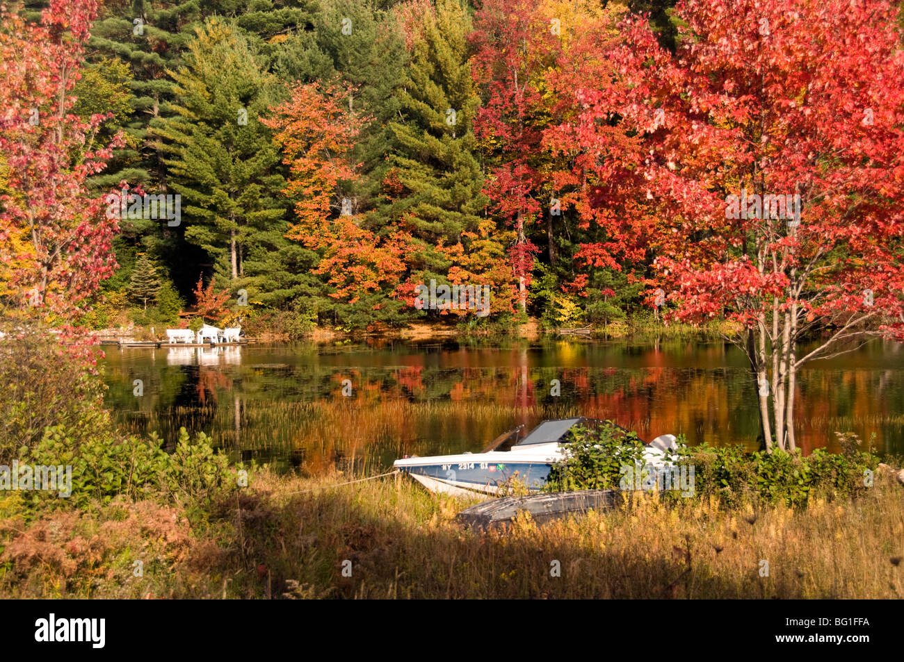 Brillante Nuova Inghilterra fogliame di autunno riflette il suo colore in un piccolo lago nello stato di New York, Stati Uniti d'America. Foto Stock