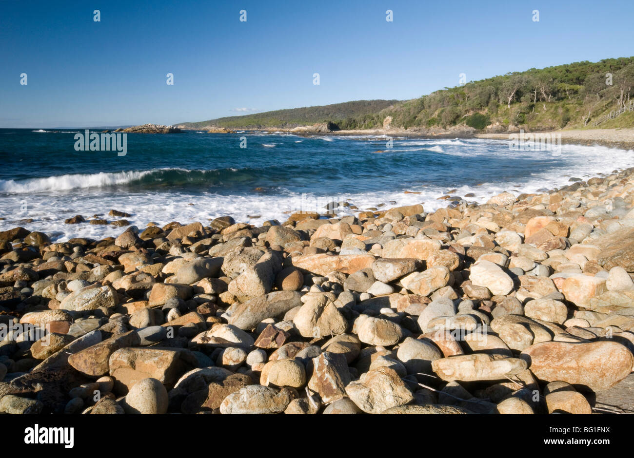 Ruvida costa rocciosa del Mare di Tasman, parte dell'Oceano Pacifico, Mimosa Rocks National Park, New South Wales, Australia Pacific Foto Stock