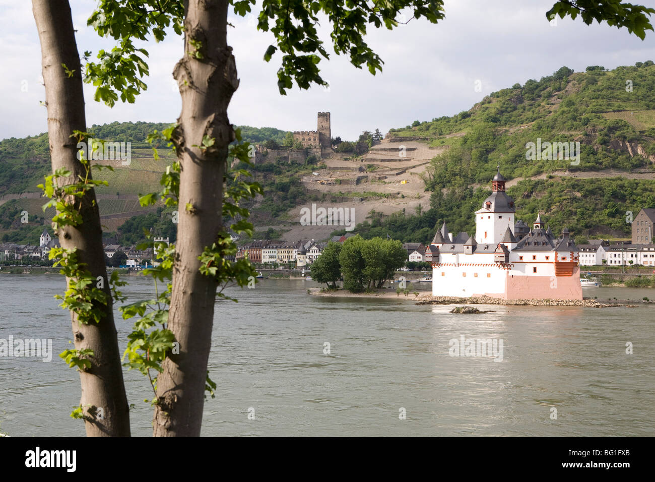 Il castello Pfalzgrafenstein lungo il fiume Reno, Renania-Palatinato, Germania, Europa Foto Stock