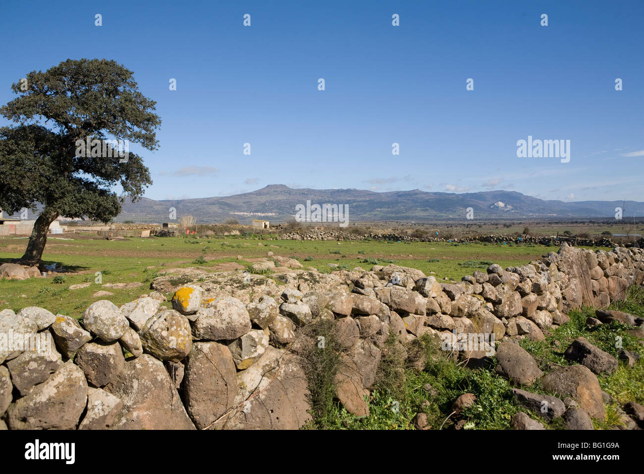 Abbasanta altopiano, Sardegna, Italia, Europa Foto Stock