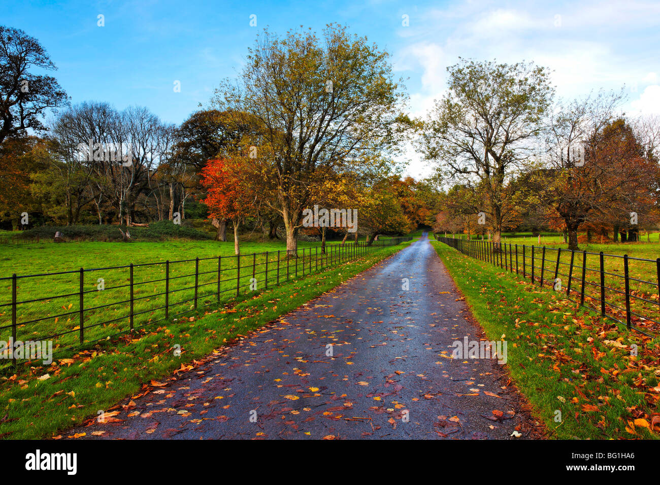 Muckross Estate, Killarney, Co.Kerry, Irlanda Foto Stock