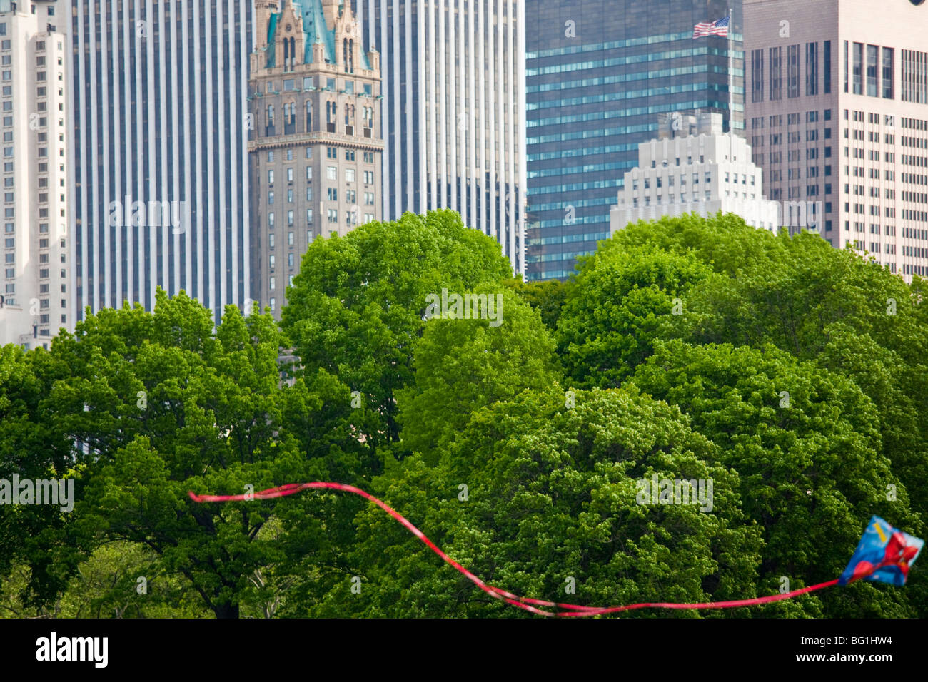 Aquiloni nel parco centrale di Manhattan a New York City Foto Stock