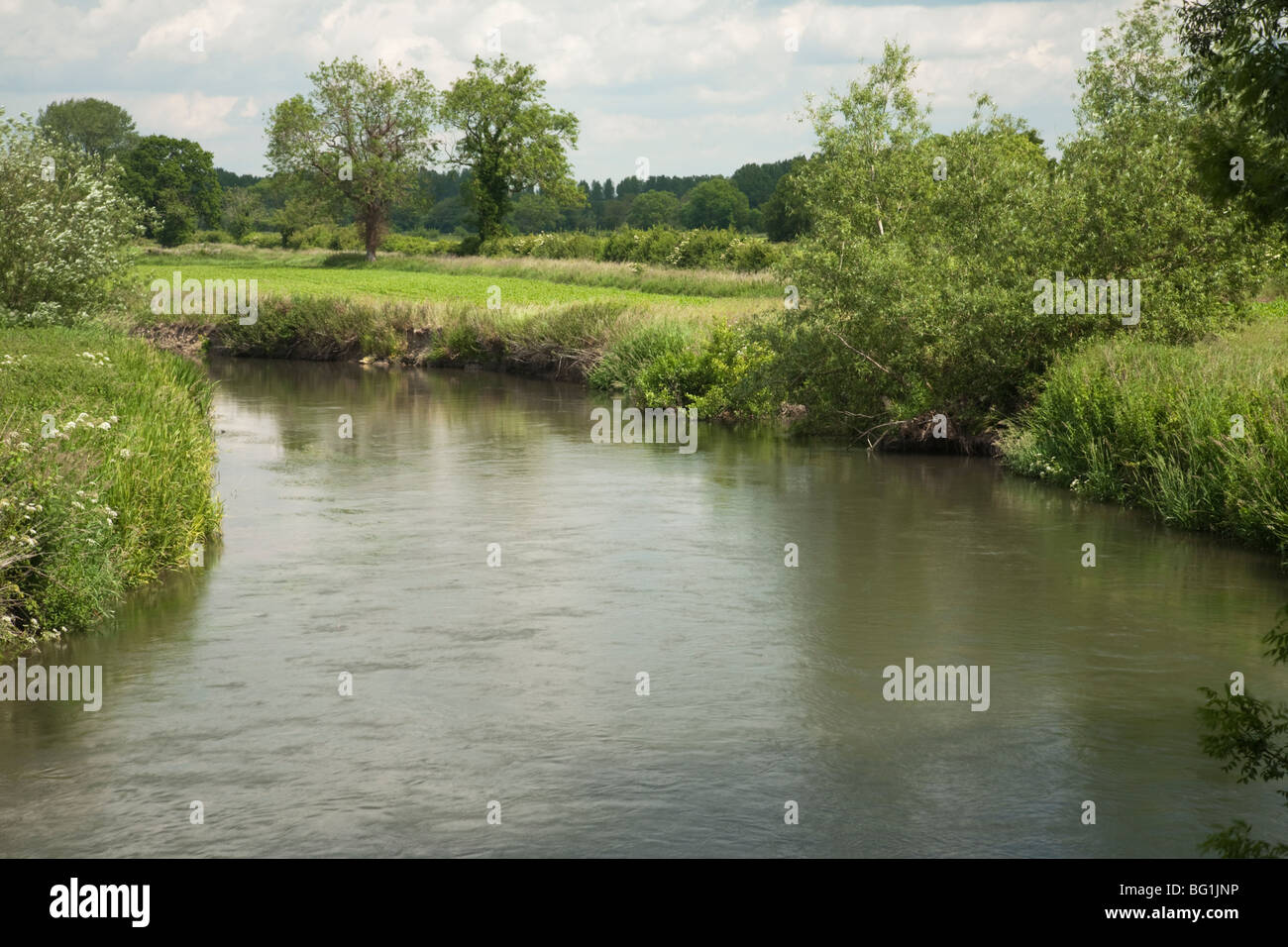 Il fiume Kennet da Padworth ponte stradale nei pressi di Reading, Berkshire, Regno Unito Foto Stock