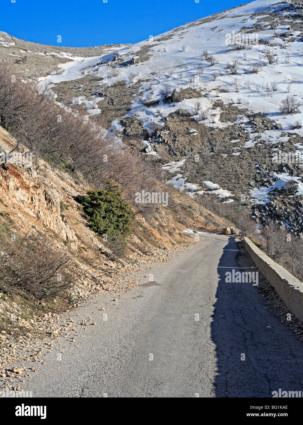 Al Shouf Cedar Riserva Naturale, vicino Maaser esh-Shouf, Libano montagne, Chouf District, Libano Foto Stock