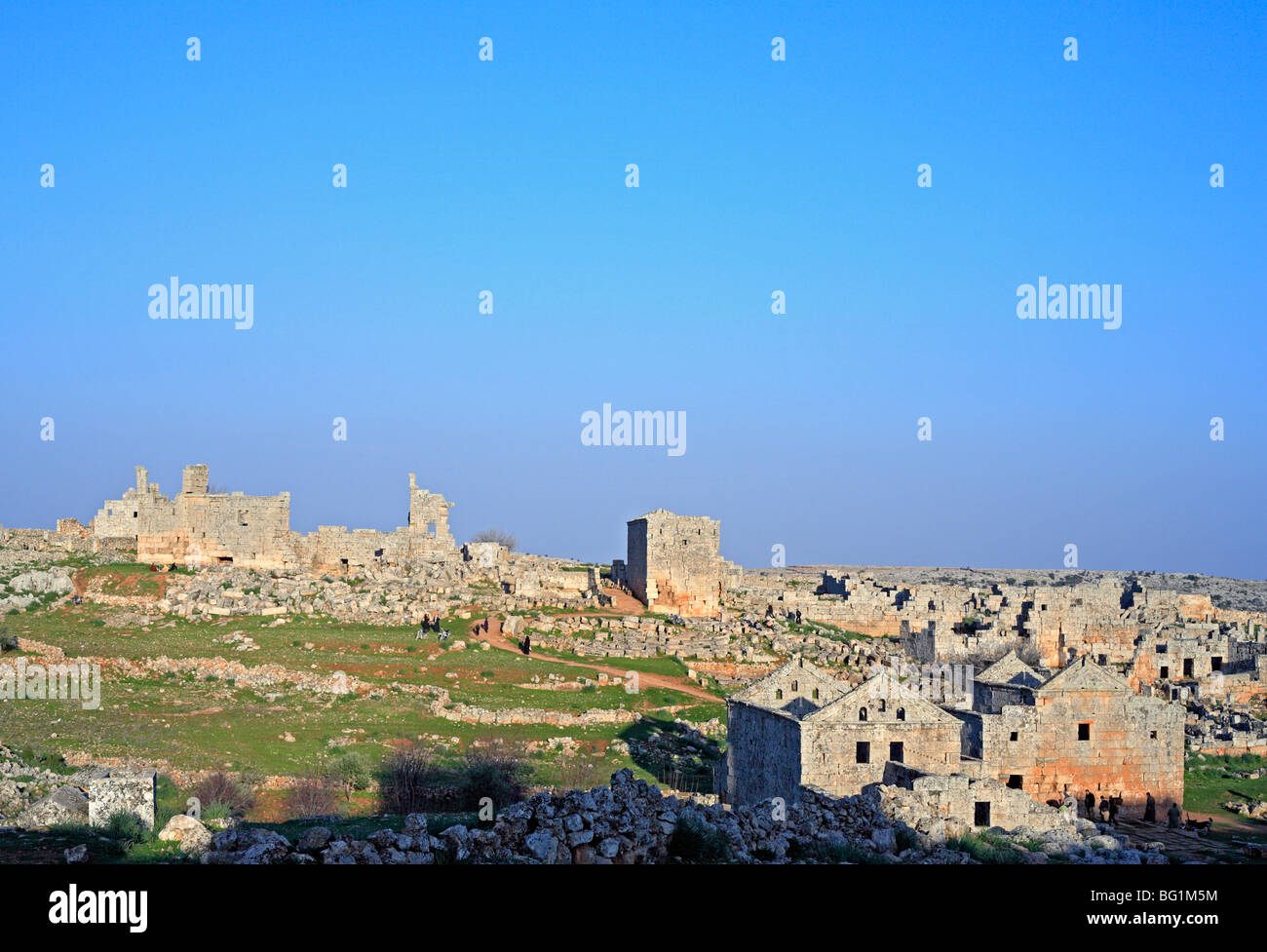 Città morta Serjilla (3-6 sec.), Jebel Riha, Siria Foto Stock