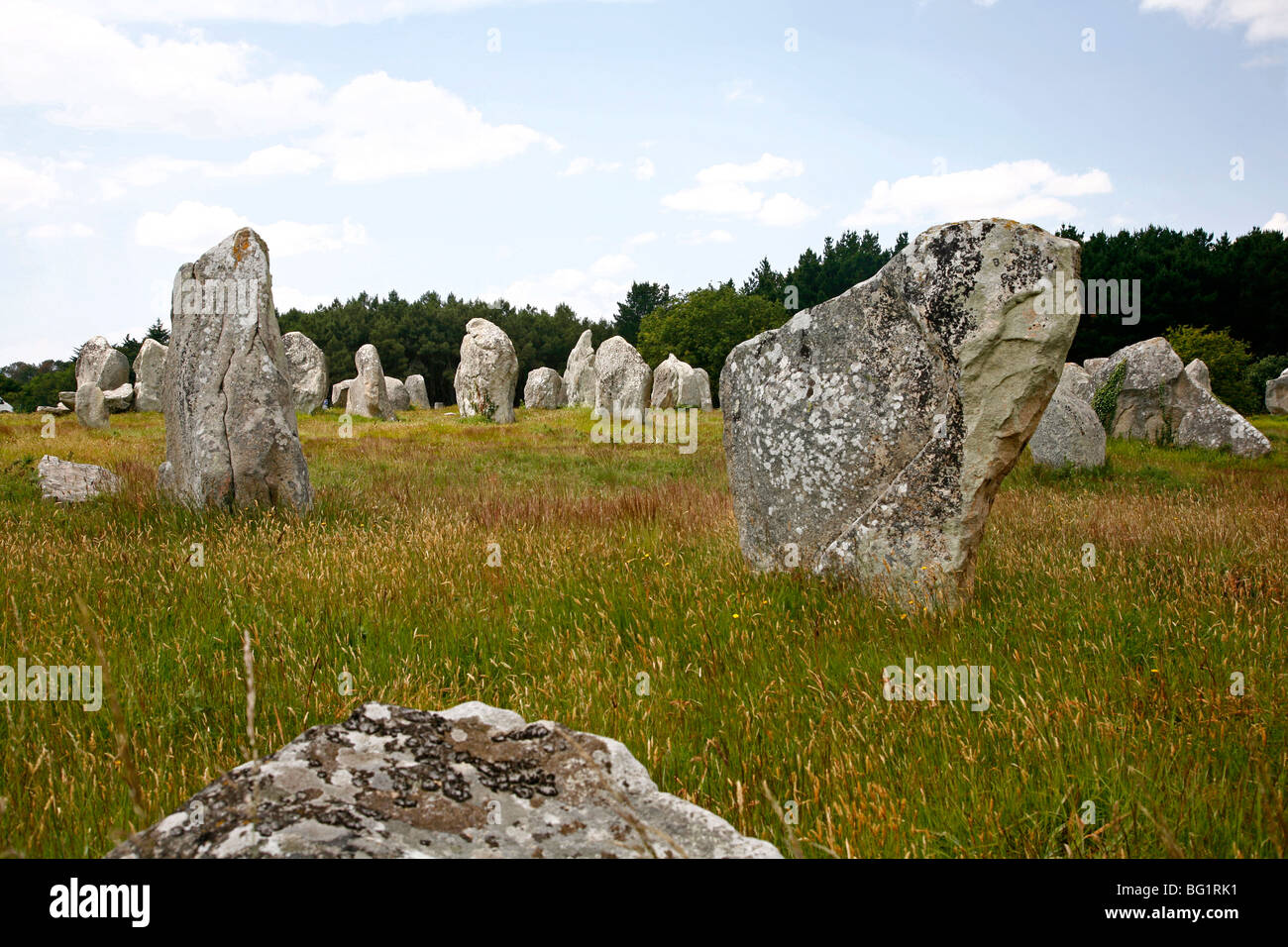 Pietre megalitiche allineamenti de Kremario, Carnac, Morbihan, in Bretagna, in Francia, in Europa Foto Stock