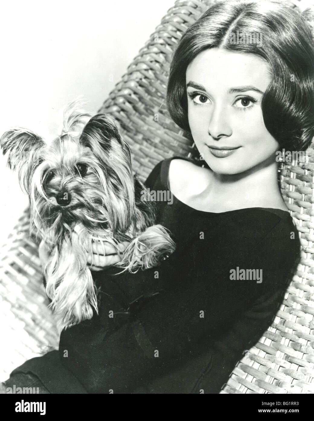 AUDREY HEPBURN - attrice cinematografica circa 1959 con il suo cane signor famoso Foto Stock