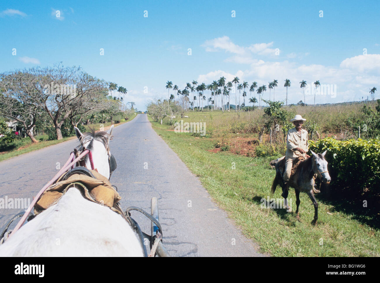 Carrozza a cavallo passa il contadino a cavallo, Vinales, Pinar del Rio, Cuba, West Indies, America Centrale Foto Stock