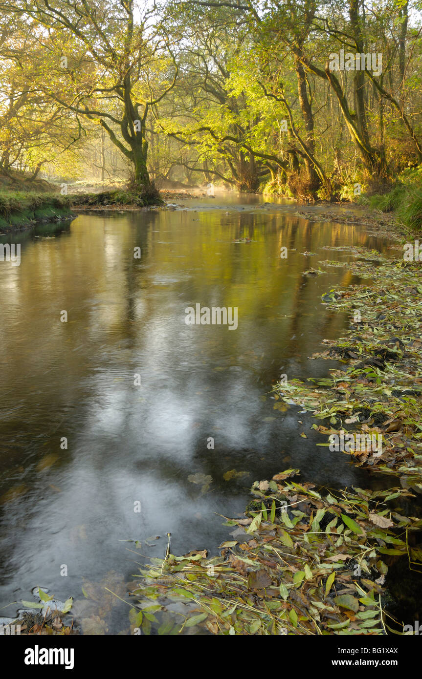 Mattina autunnale, poca acqua di FLEET, Fleet Valley National Scenic Area, Dumfries and Galloway, Scotland, Regno Unito Foto Stock