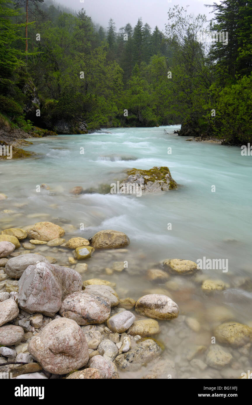 Fiume alpino, T. Boite, vicino a Cortina d'Ampezzo, Dolomiti, Veneto, Italia, Europa Foto Stock