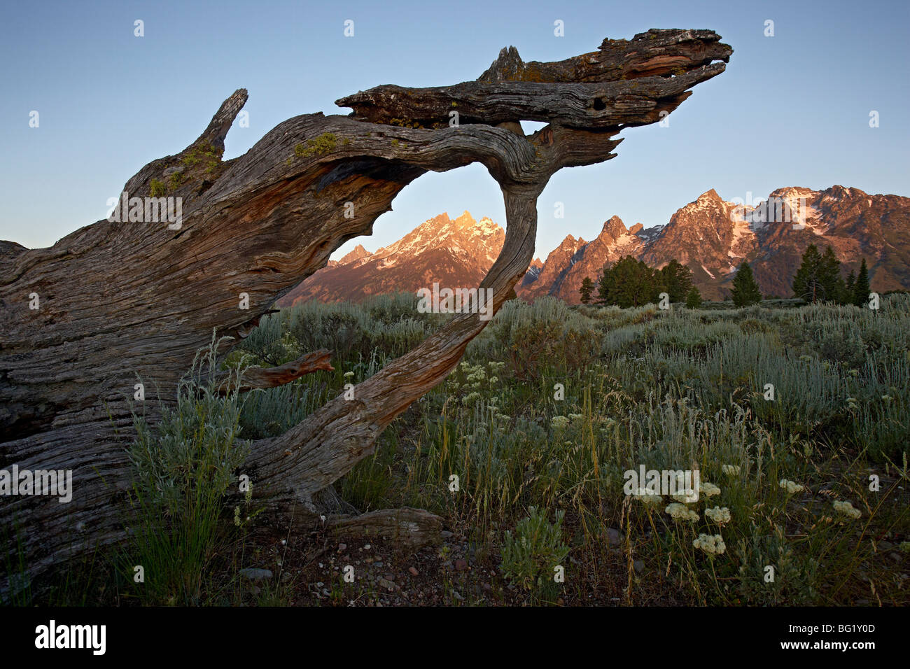 Tetons alla prima luce, Grand Teton National Park, Wyoming negli Stati Uniti d'America, America del Nord Foto Stock