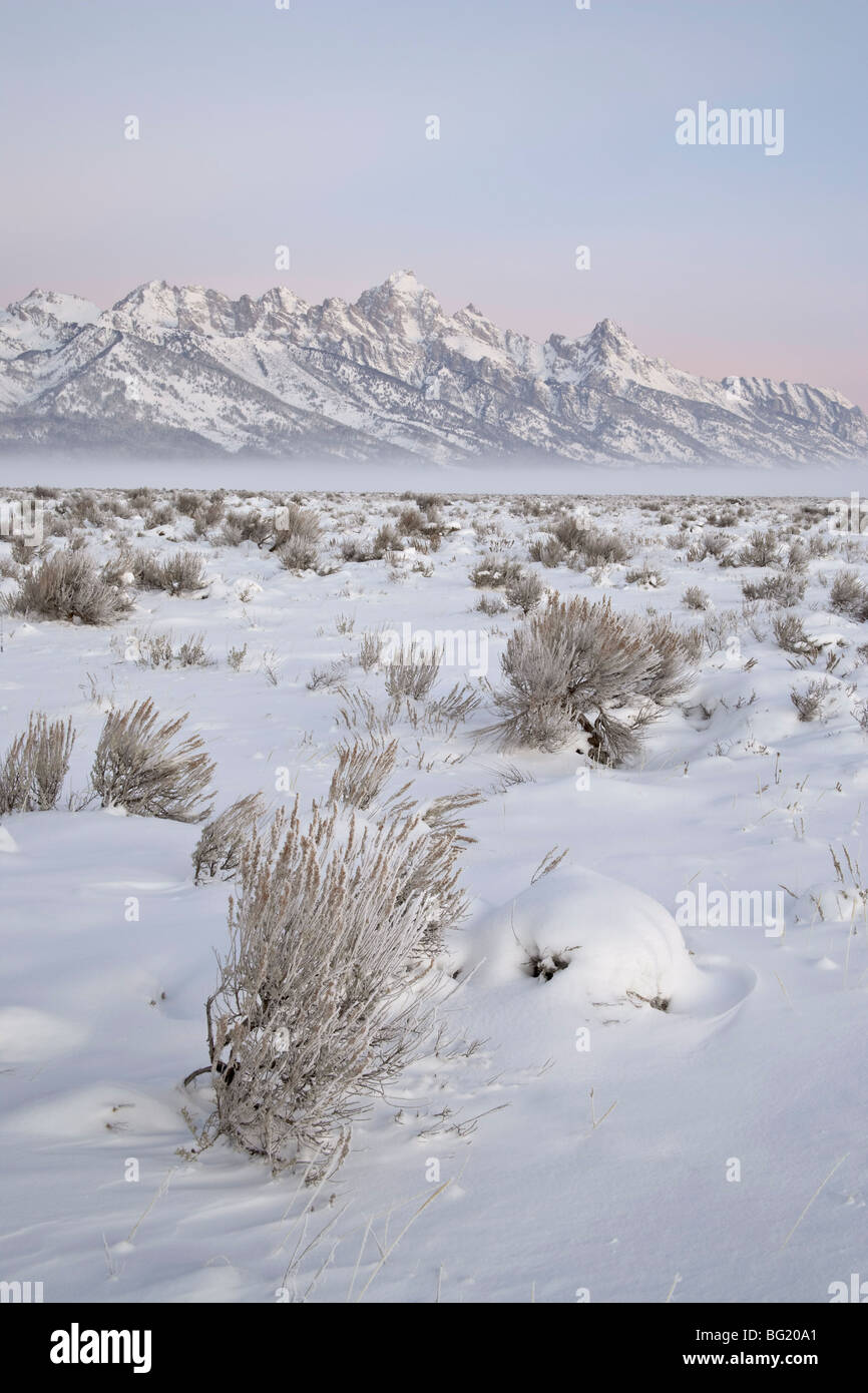 Gamma Teton all'alba in inverno, Grand Teton National Park, Wyoming negli Stati Uniti d'America, America del Nord Foto Stock