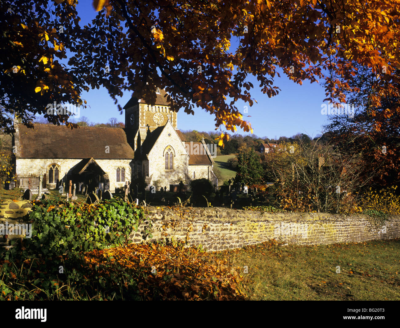 Seale Surrey in Inghilterra UK Novembre chiesa di San Lorenzo in autunno incorniciato da un bosco di faggi con foglie d'oro Foto Stock
