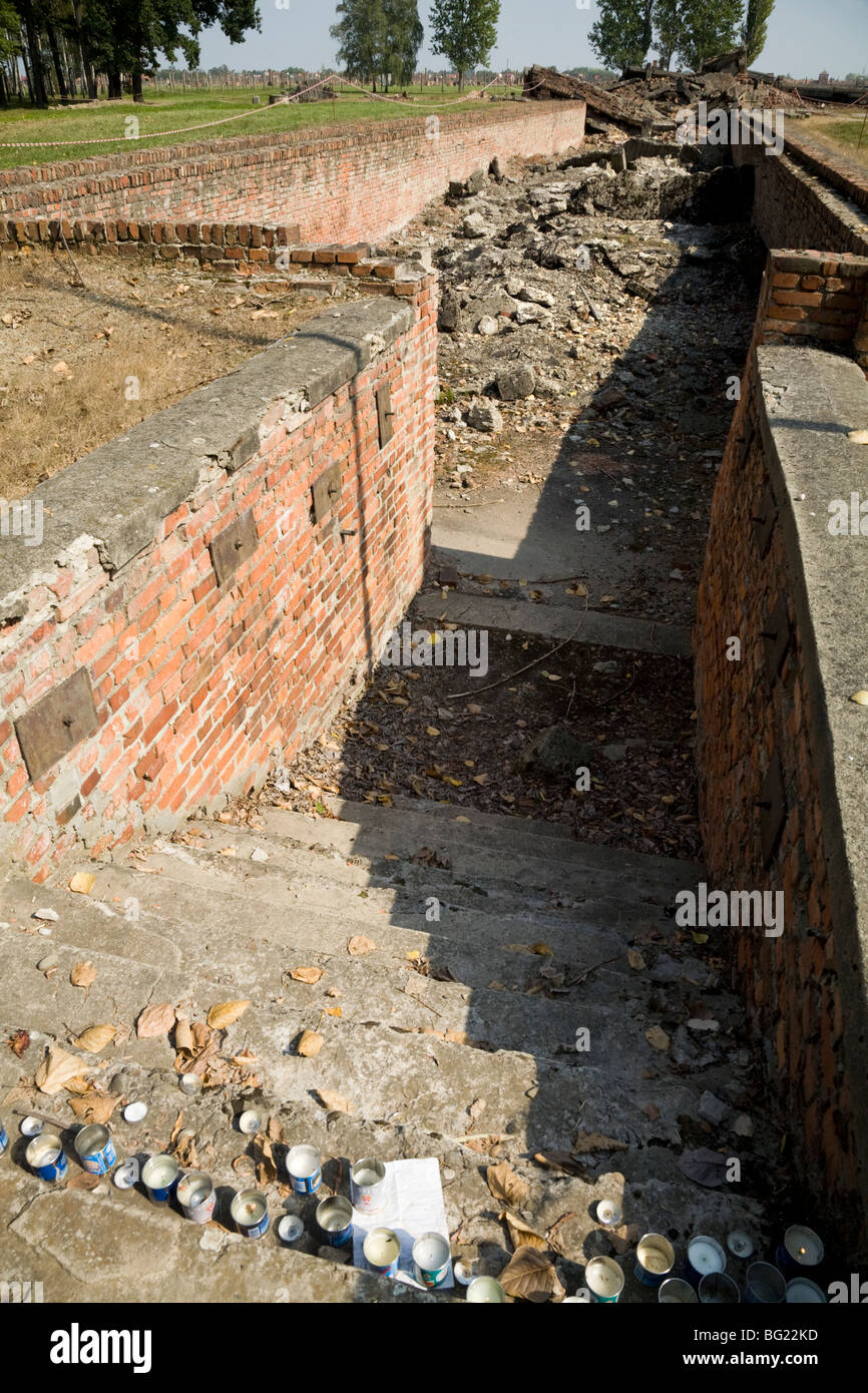 Le fasi che conducono alla demolita camere a gas di Birkenau (Auschwitz II - Birkenau) nazista di morte nel campo di Oswiecim, Polonia. Foto Stock