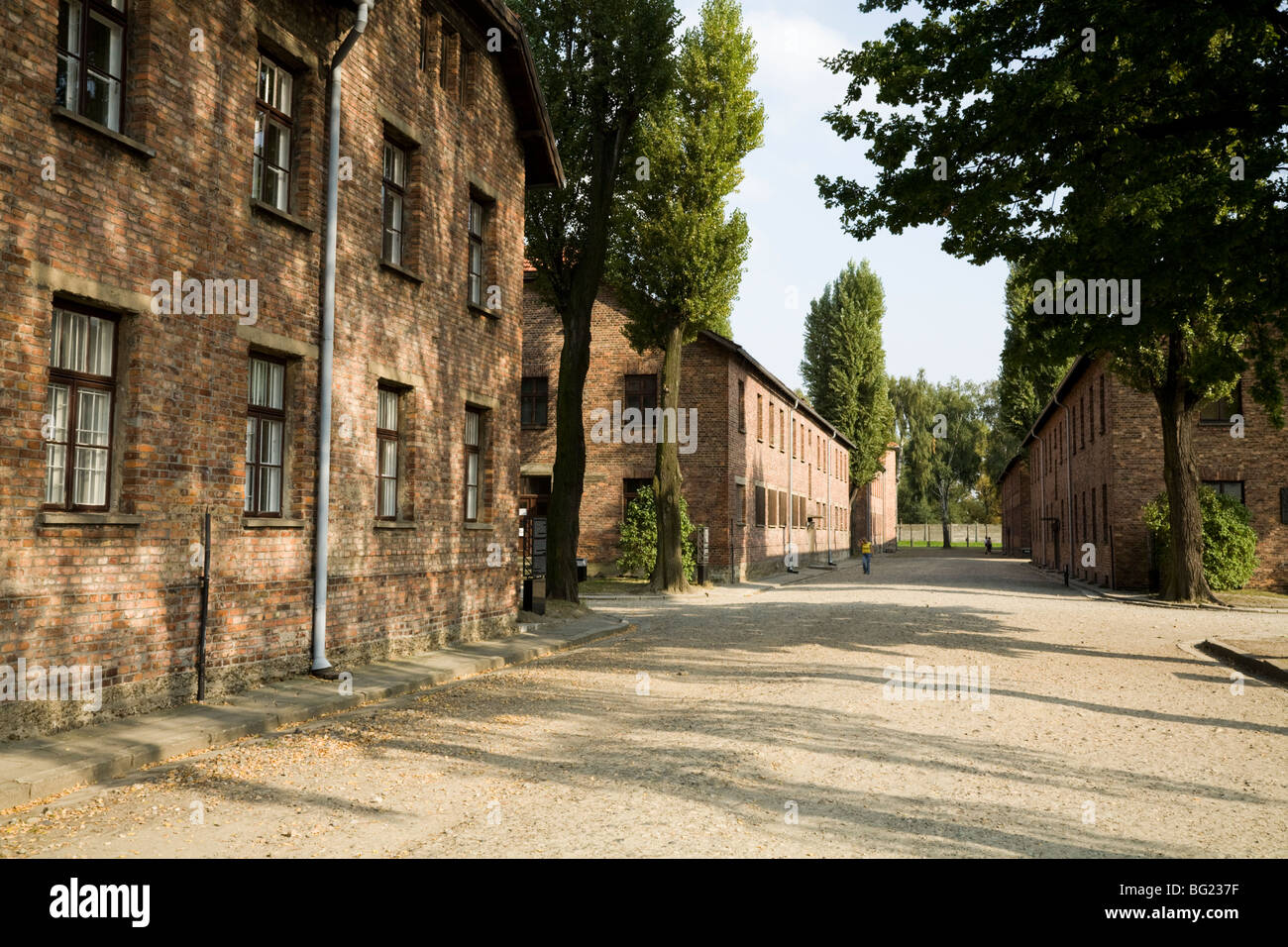 Prigioniero alloggio blocchi su entrambi i lati di un viale / road presso il nazista di Auschwitz la morte nel campo di Oswiecim, Polonia. (49) Foto Stock