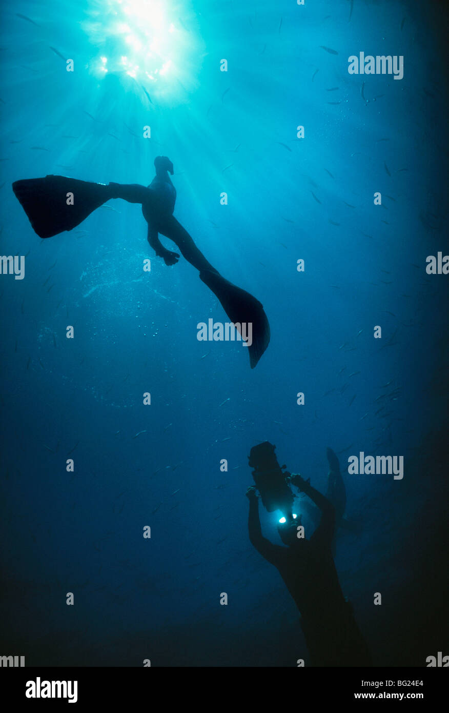 Pellicole di padre figlia - sia free diving. Anacapa Island, CA - Oceano Pacifico Foto Stock