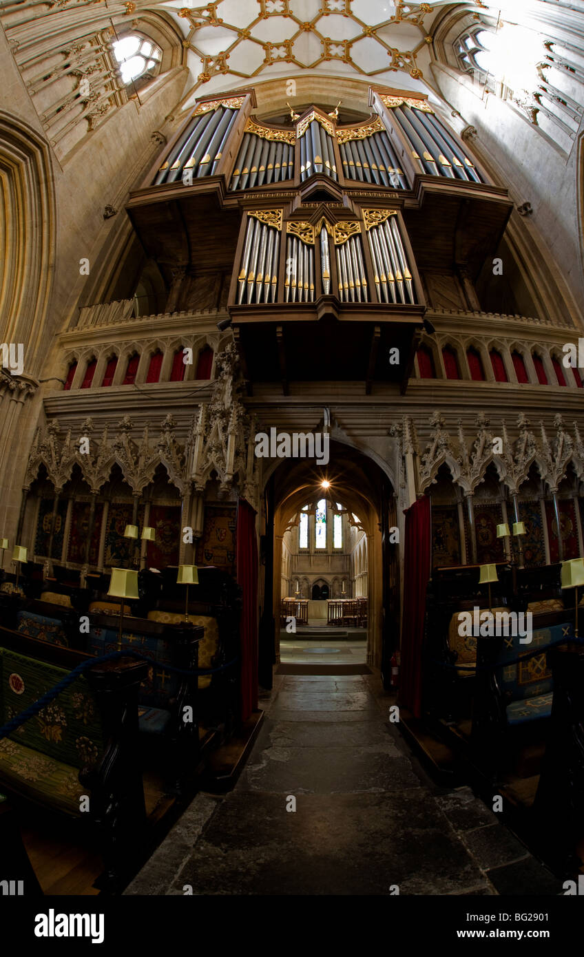 Cattedrale di Wells organo. Risale a uno strumento costruito da Henry Willis nel 1857. Foto Stock