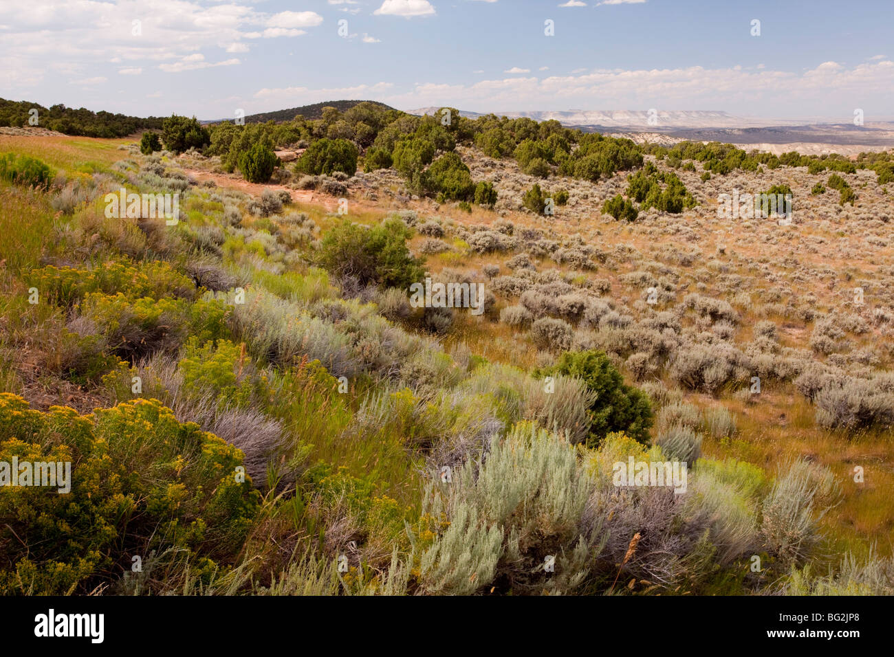 Alta sagebrush deserto, a nord di Rocksprings, Wyoming USA, America del Nord. Foto Stock