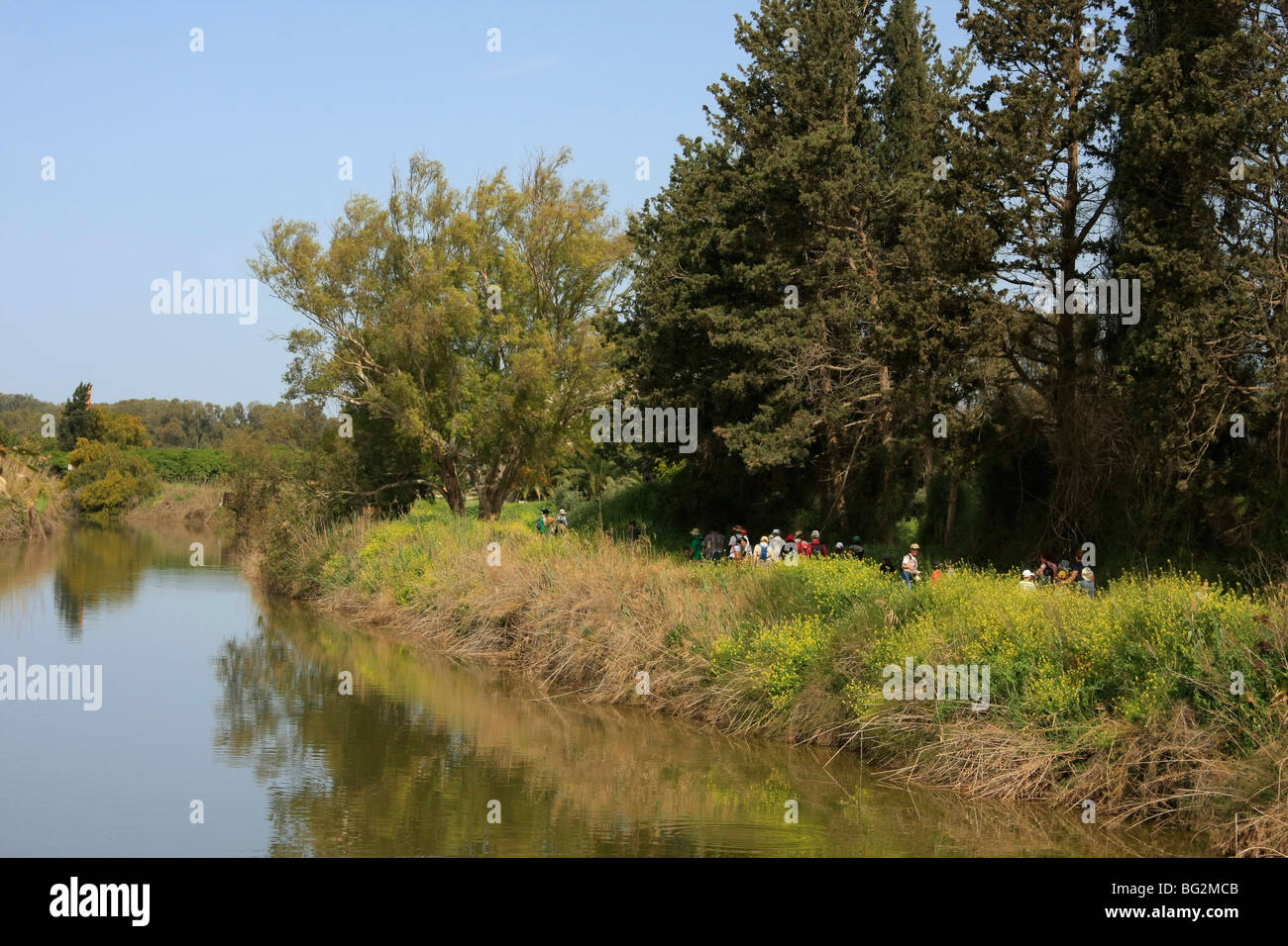 Israele, regione di Sharon. Alexander River National Park Foto Stock