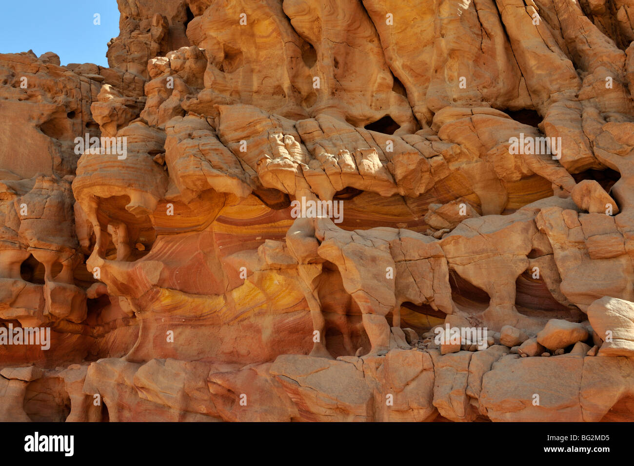 Arenaria scolpite dal vento e la sabbia nel deserto di Wadi Meghesa, South Sinai, Egitto Foto Stock