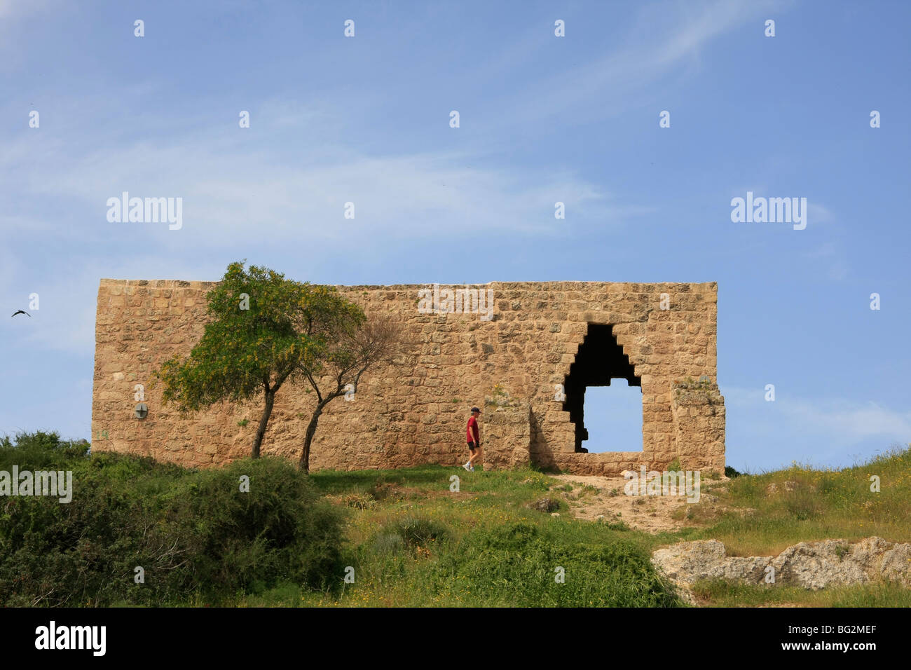 Israele, regione di Sharon. Hurbat Samara in Alexander River National Park Foto Stock