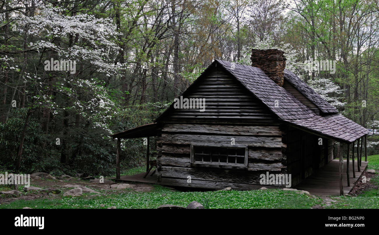 Noè Bud Ogle luogo cottage homestead casa bianco sanguinello molla accanto a LeConte Creek Great Smoky Mountain National Park USA Foto Stock