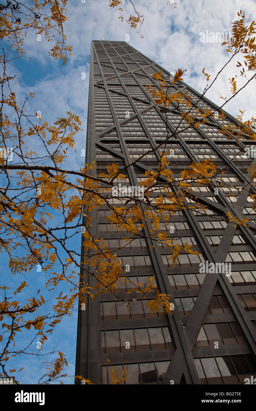 Giallo dorato autunno cadono le foglie contro l'edificio di colore nero del John Hancock Center Tower a Chicago in Illinois sotto il cielo blu Foto Stock