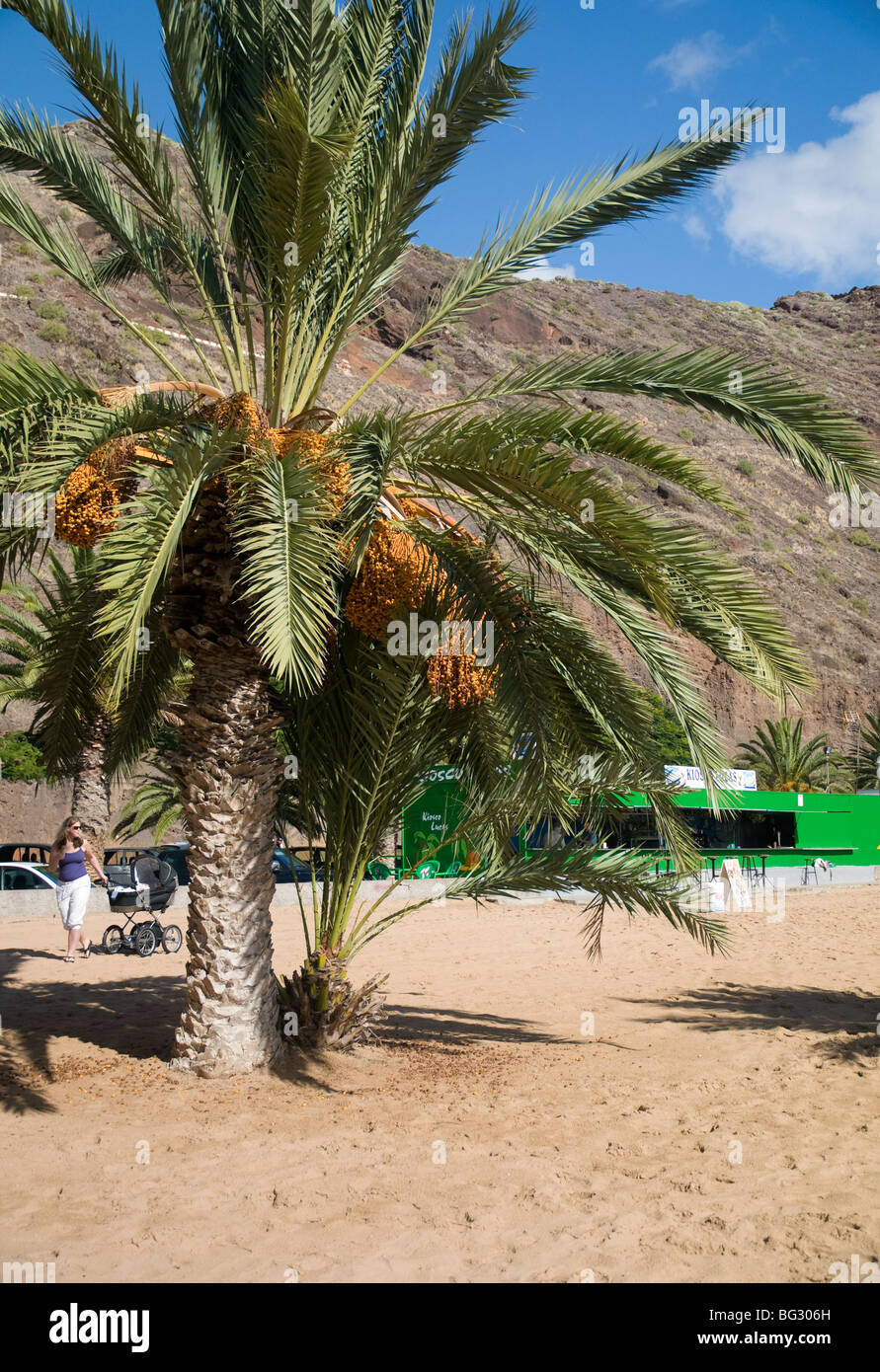 Playa de Las Teresitas, sulla spiaggia di Tenerife, Isole Canarie, Spagna Foto Stock