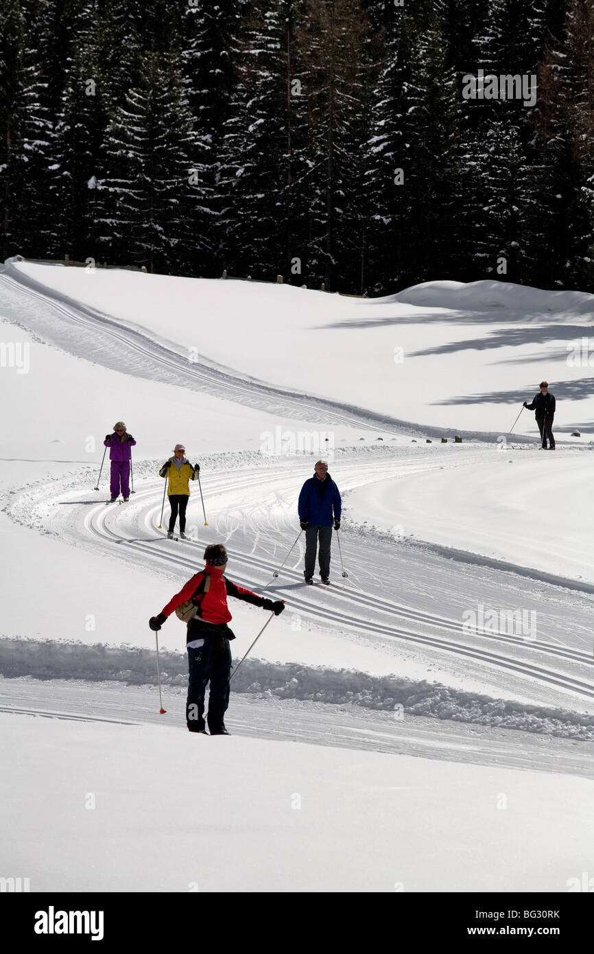 L'Europa, Italia, Alpi, Alto Adige, neve, sci di fondo, sci, neve montagna, foresta Foto Stock