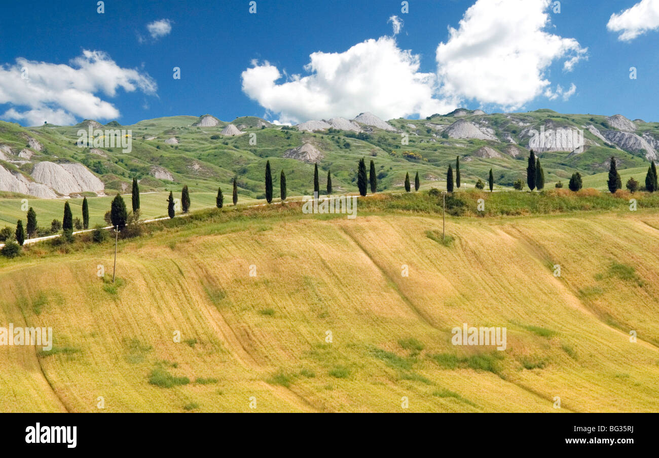 Crete Senesi, vicino a Asciano, in provincia di Siena, Toscana, Italia, Europa Foto Stock