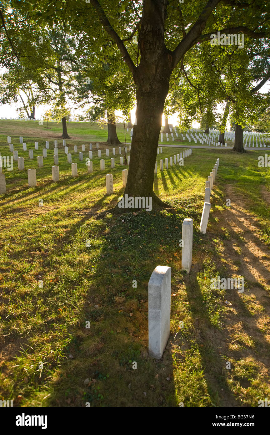 Al Cimitero Nazionale di Arlington, Washington DC, Stati Uniti d'America Foto Stock
