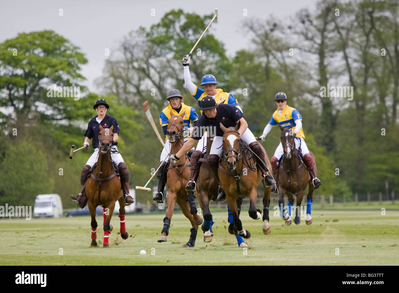 Giocatori di polo, Cowdray Park, West Sussex, in Inghilterra. Foto Stock