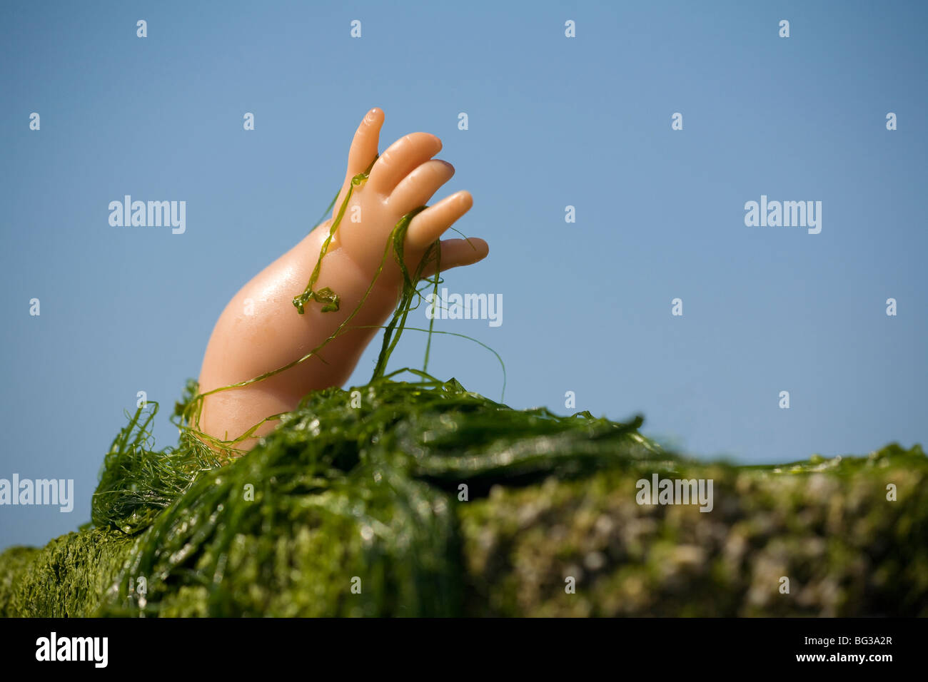 Ritratto di una bambola rottura del braccio attraverso le alghe. Foto Stock