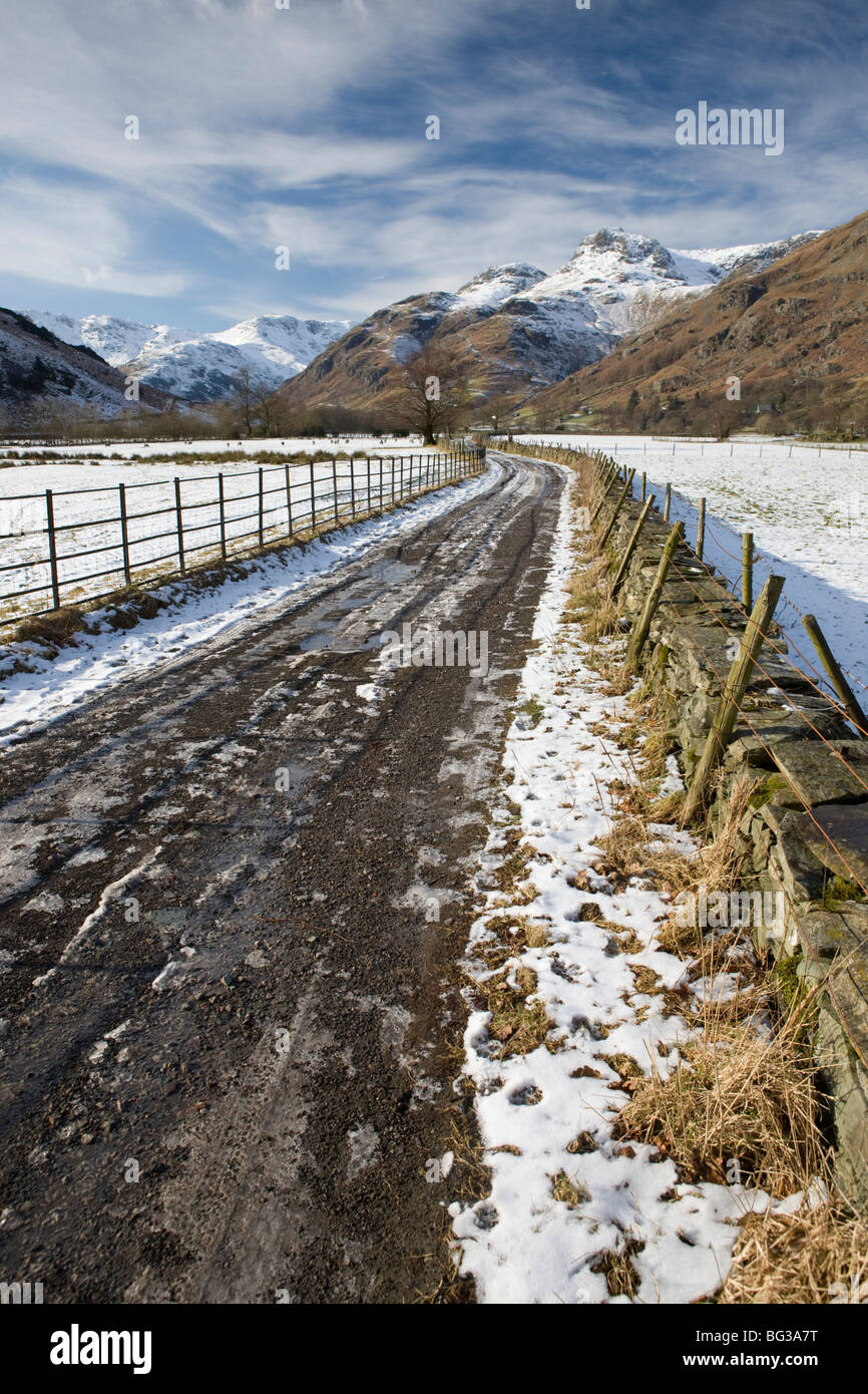 Grande Langdale, nel distretto del lago, Cumbria Regno Unito Foto Stock