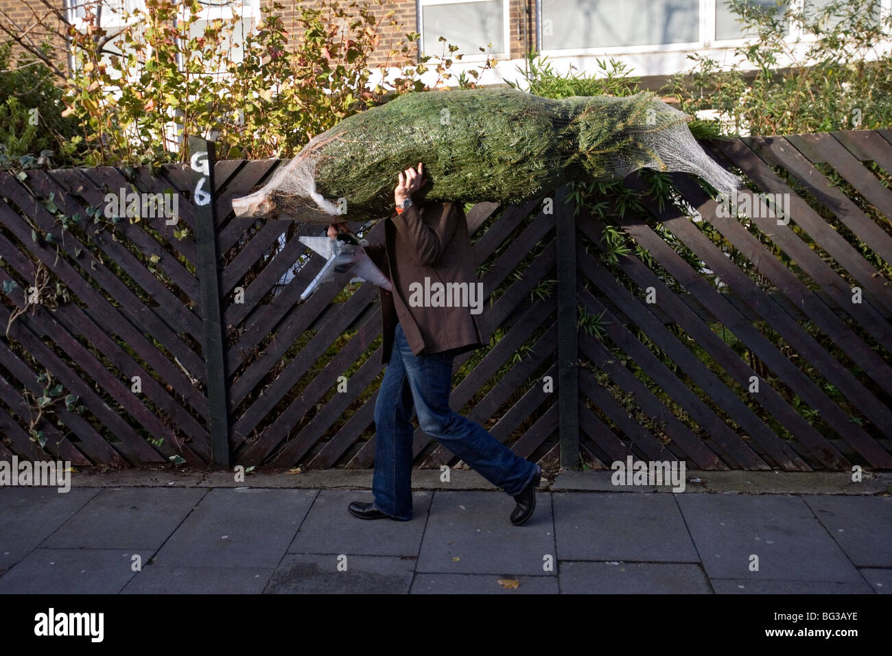 Un uomo che ha comprato un albero di Natale presso la columbia road flower market a Londra Foto Stock