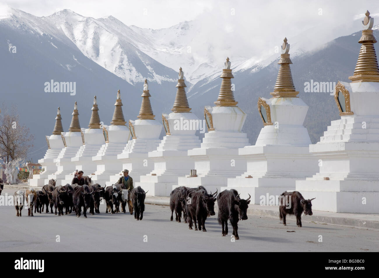 Stupa buddisti, Deqin, chiamato Shangri-La, sul confine tibetano, Shangri-La Regione, Provincia di Yunnan in Cina, Asia Foto Stock