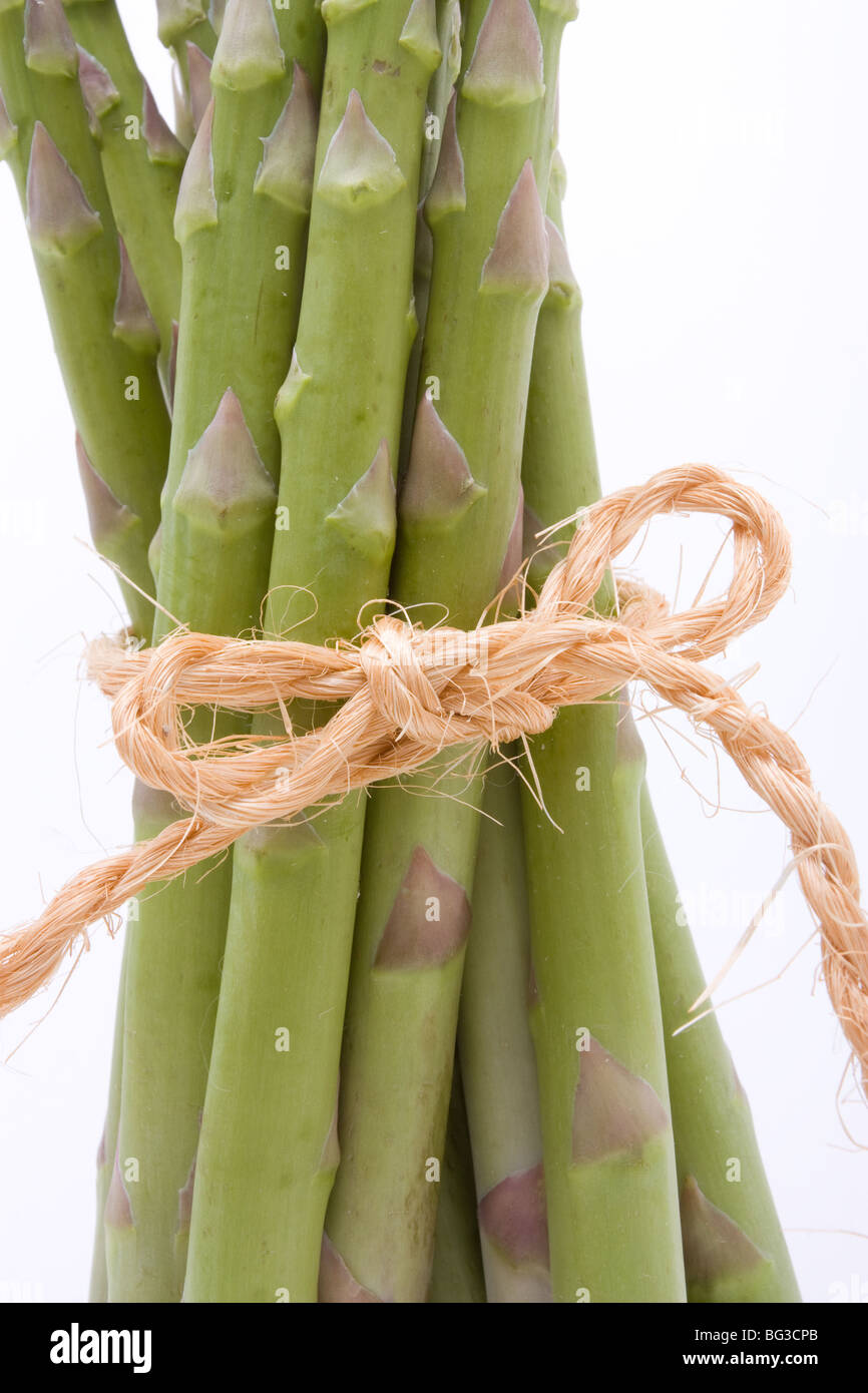 Gli asparagi spears legato di canapa o di sisal string mantenendole ordinate isolata contro il bianco. Foto Stock