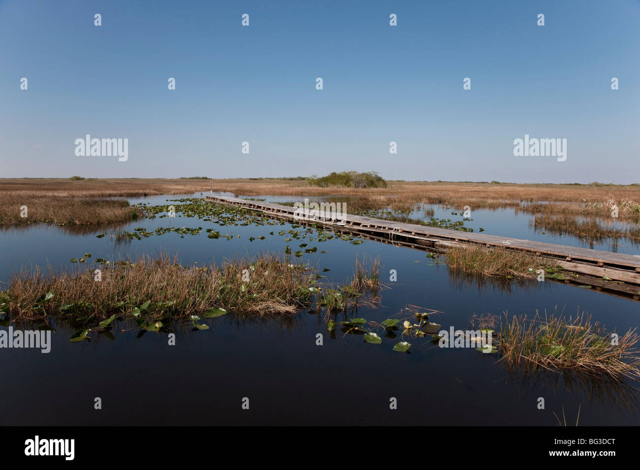 Parco nazionale delle Everglades, Sito Patrimonio Mondiale dell'UNESCO, Florida, Stati Uniti d'America, America del Nord Foto Stock