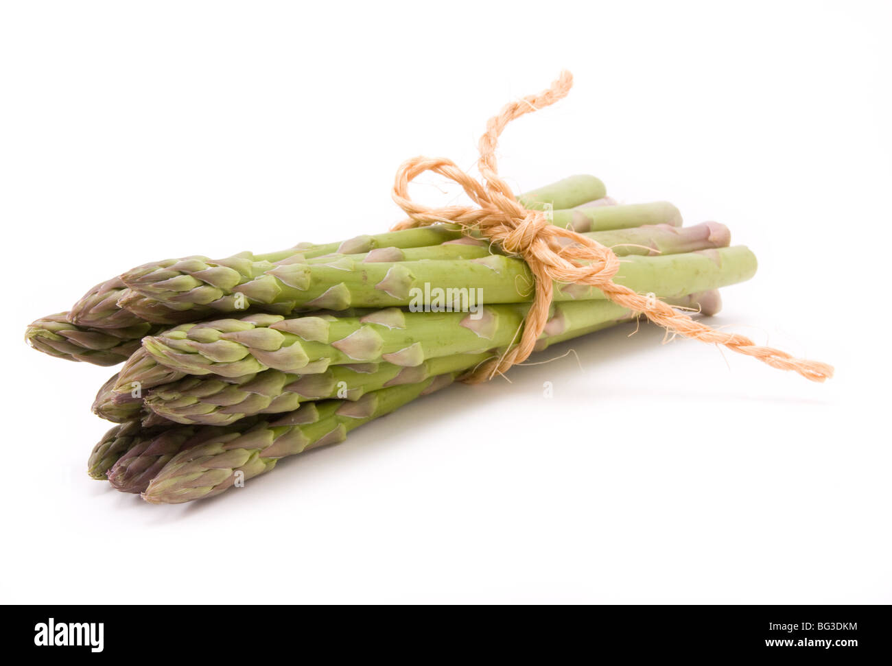 Gli asparagi spears legato di canapa o di sisal string mantenendole ordinate isolata contro il bianco. Foto Stock